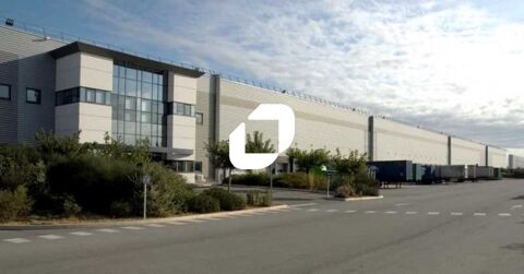 Entrep&ocirc;ts - A LOUER - 30&nbsp;329 m&sup2; non divisibles 164282 13310 Saint martin de crau