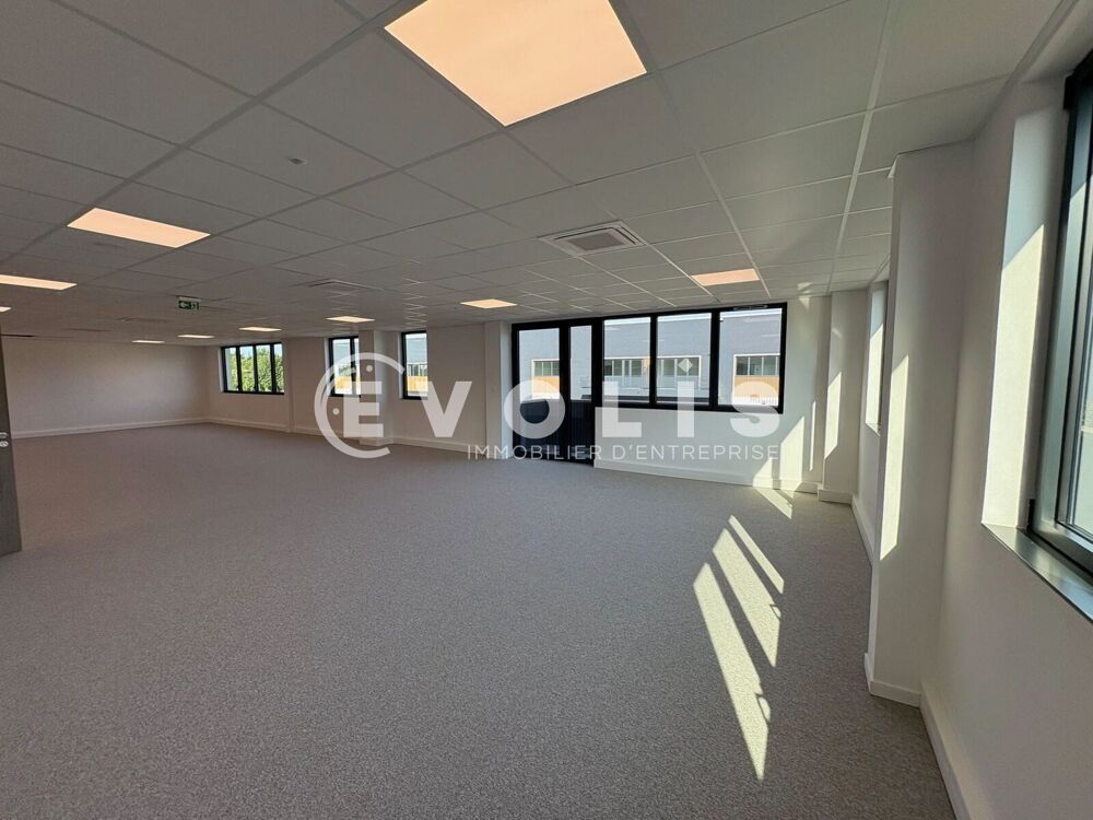   Locaux d'activité - A LOUER - 4 989 m² divisibles à partir de 375 m² Chalifert