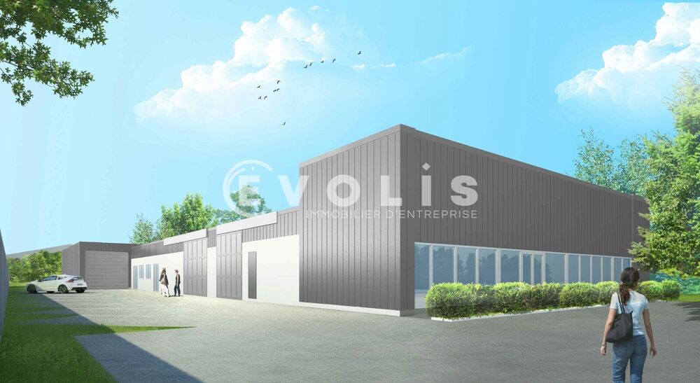   Locaux d'activité - A LOUER - 818 m² divisibles à partir de 300 m² 