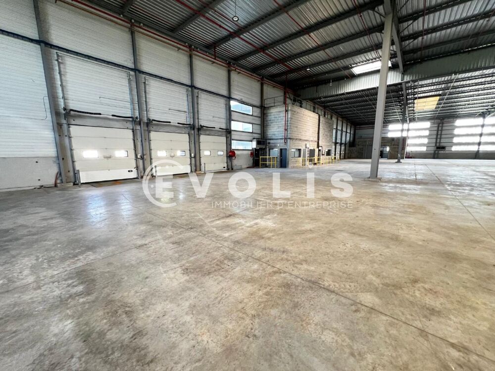   Locaux d'activité - A LOUER - 6 734 m² non divisibles Saint michel sur orge