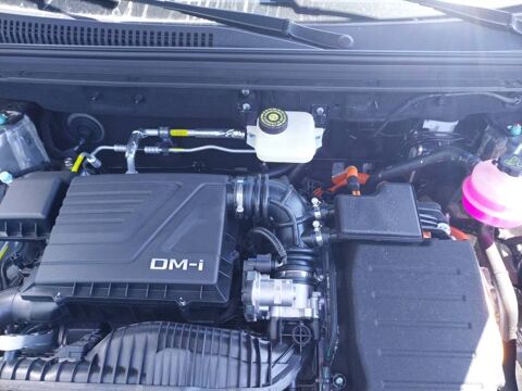 Sealion 5 1.5l DM-i 212 ch PHEV Design 2026 occasion 22000 Saint-Brieuc