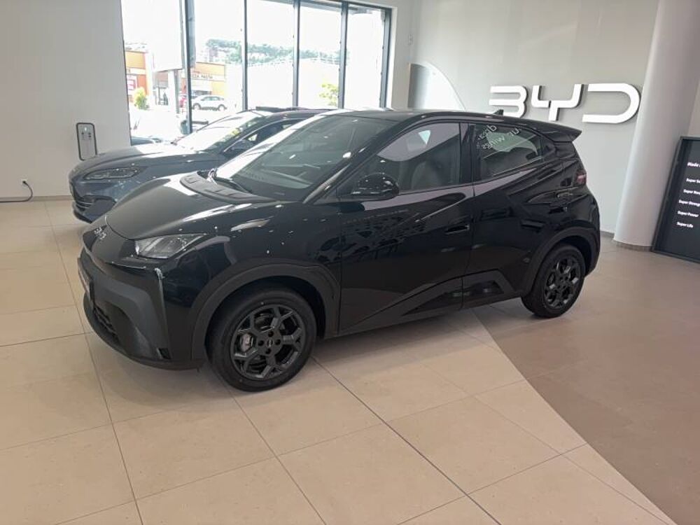 Dolphin Surf 43.2 kWh 88 ch Boost 2026 occasion 50100 Cherbourg-en-Cotentin