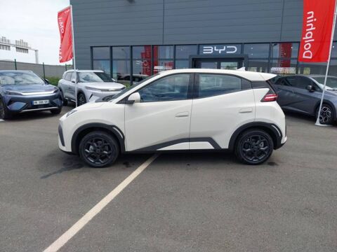 Dolphin Surf 43.2 kWh 88 ch Boost 2026 occasion 49070 Beaucouz&eacute;