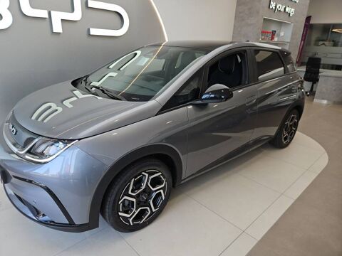 Dolphin 60,4 kWh 204 ch Design 2026 occasion 56600 Lanester