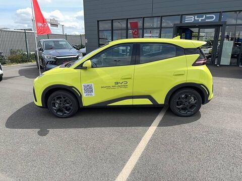 Dolphin Surf 43.2 kWh 88 ch Boost 2026 occasion 49070 Beaucouz&eacute;