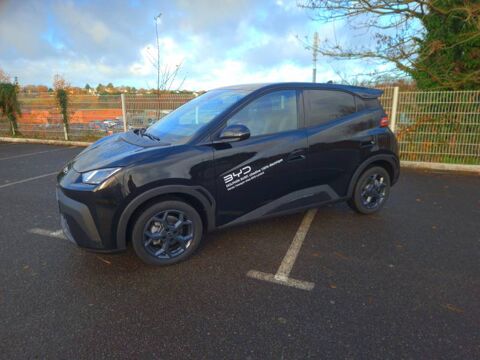 BYD Dolphin Surf 43.2 kWh 156 ch Comfort 2025 occasion Lanester 56600