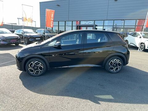 Dolphin 60,4 kWh 204 ch Comfort 2026 occasion 49070 Beaucouz&eacute;