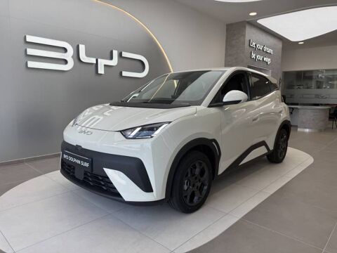 BYD Dolphin Surf 43.2 kWh 156 ch Comfort 2026 occasion Lanester 56600