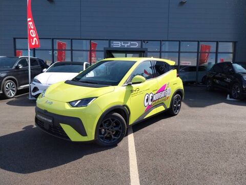 BYD Dolphin Surf 43.2 kWh 156 ch Comfort 2025 occasion Beaucouzé 49070