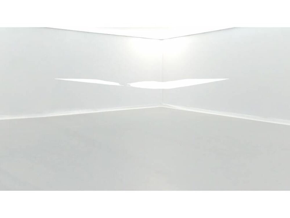 Trafic TRAFIC FG BLUE DCI 130 L1H1 3T GSR2 ADVANCE 2024 occasion 29000 Quimper
