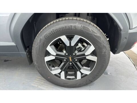 Duster Hybrid 140 Extreme 2025 occasion 56800 Plo&euml;rmel