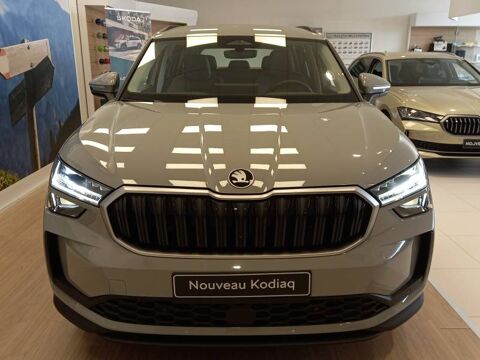 Kodiaq 2.0 TDI 150 ch SCR DSG7 7pl Selection 2024 occasion 25000 Besançon