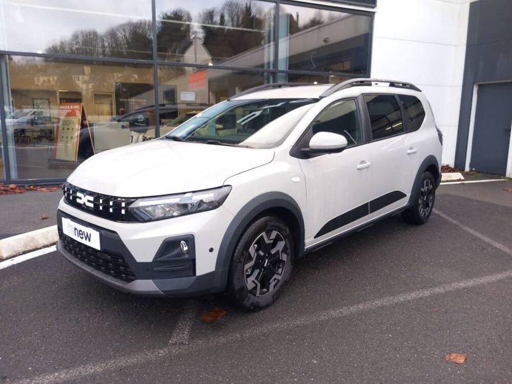 Jogger Hybrid 155 7 places Journey 2026 occasion 29150 Ch&acirc;teaulin