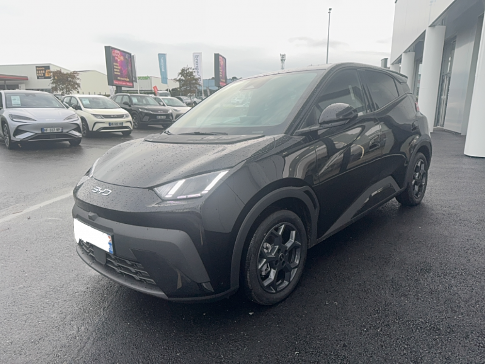 Dolphin Surf 43.2 kWh 156 ch Comfort 2025 occasion 50100 Cherbourg-en-Cotentin