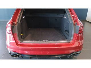 RS4 Avant V6 2.9 TFSI 450 ch Tiptronic 8 2019 occasion 35760 Saint-Gr&eacute;goire