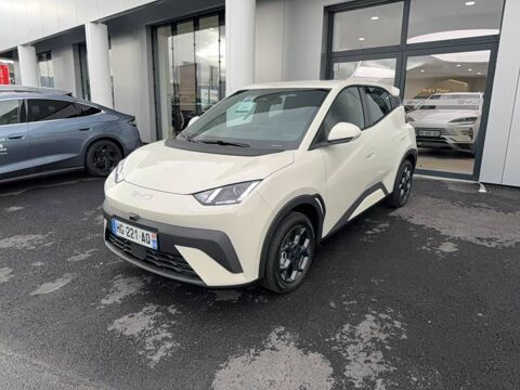 BYD Dolphin Surf 43.2 kWh 88 ch Boost 2025 occasion Cherbourg-en-Cotentin 50100