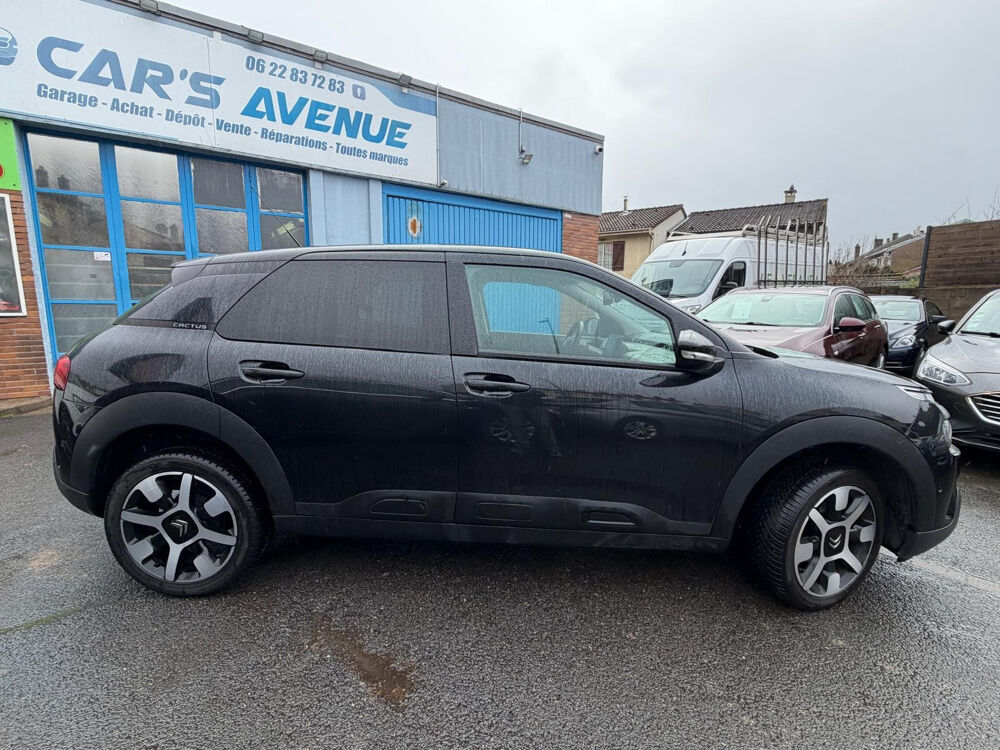 C4 cactus Shine 2021 occasion 54270 Essey-l&egrave;s-Nancy