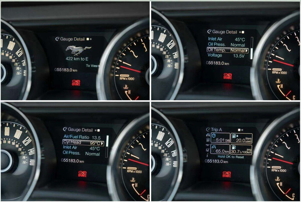 Mustang * GT V8 5.0 424 CH * MANUELLE * LOOK SHELBY * CUIR * GPS 2014 occasion 33150 Cenon