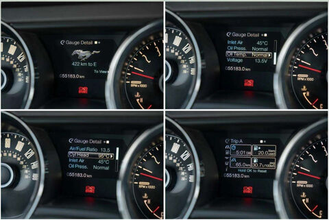 Mustang * GT V8 5.0 424 CH * MANUELLE * LOOK SHELBY * CUIR * GPS 2014 occasion 33150 Cenon