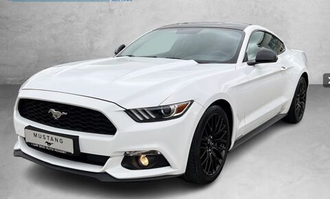 Annonce voiture Ford Mustang 29280 