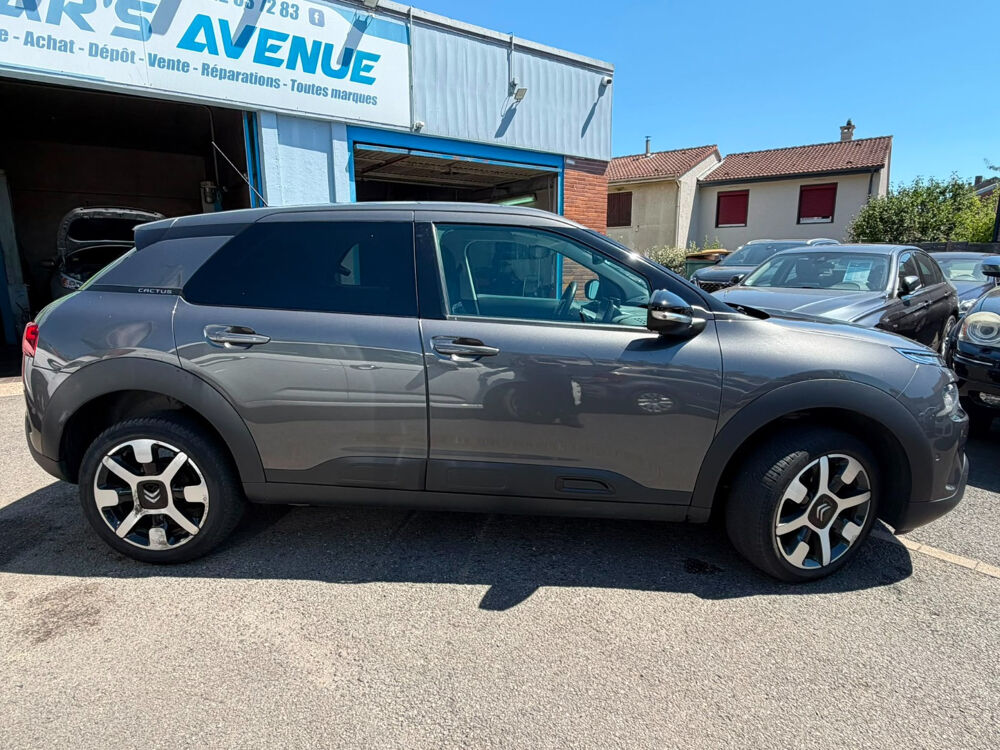 C4 cactus Shine Business 2018 occasion 54270 Essey-l&egrave;s-Nancy