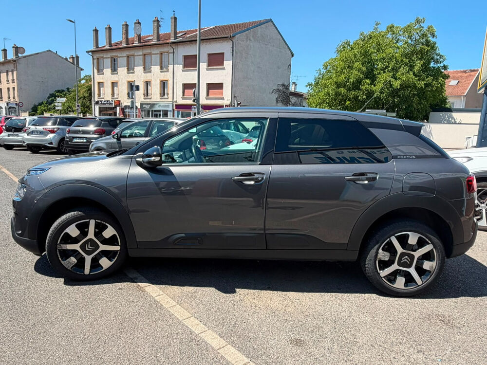 C4 cactus Shine Business 2018 occasion 54270 Essey-l&egrave;s-Nancy