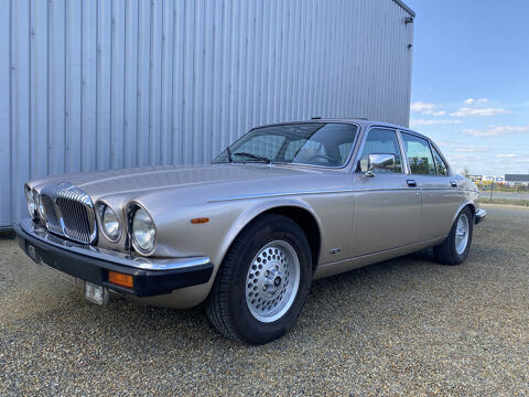 Daimler Autres 5.3L 1991 occasion Bain-de-Bretagne 35470