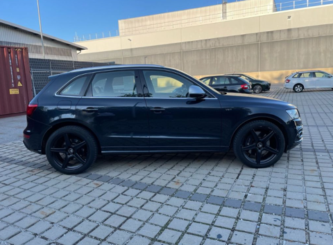 SQ5 3.0 TDI 313cv Quattro Full Black 2015 occasion 33320 Eysines