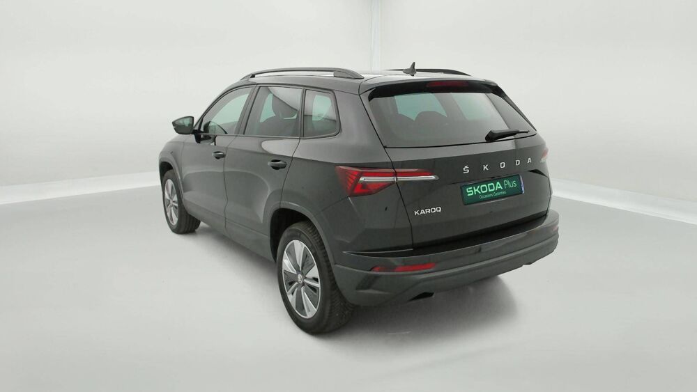 Karoq 2.0 TDI 116 ch SCR DSG7 2024 occasion 25000 Besan&ccedil;on