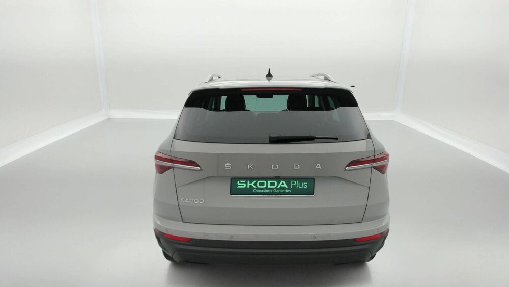 Karoq 2.0 TDI 116 ch SCR DSG7 2023 occasion 25000 Besan&ccedil;on