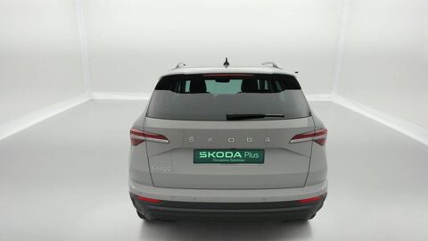 Karoq 2.0 TDI 116 ch SCR DSG7 2023 occasion 25000 Besan&ccedil;on