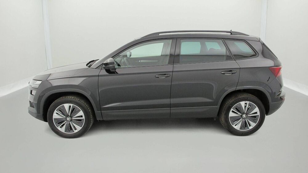 Karoq 2.0 TDI 116 ch SCR DSG7 2024 occasion 25000 Besan&ccedil;on