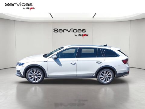 Octavia Combi 2.0 TDI 200 ch DSG7 4x4 2023 occasion 01440 Viriat