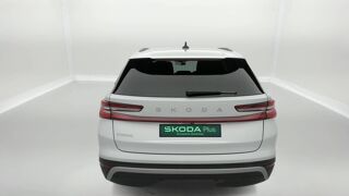 Kodiaq 2.0 TDI 150 ch SCR DSG7 7pl 2025 occasion 25000 Besan&ccedil;on
