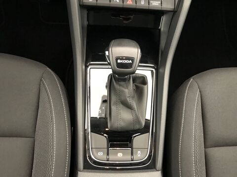 Karoq 2.0 TDI 116 ch SCR DSG7 2024 occasion 25000 Besan&ccedil;on