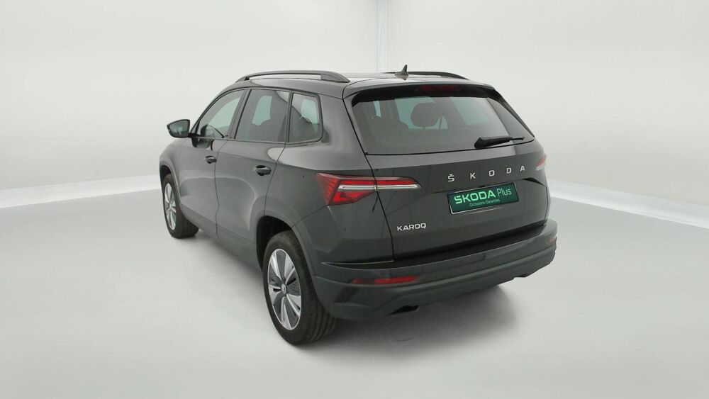 Karoq 2.0 TDI 116 ch SCR DSG7 2022 occasion 25000 Besan&ccedil;on