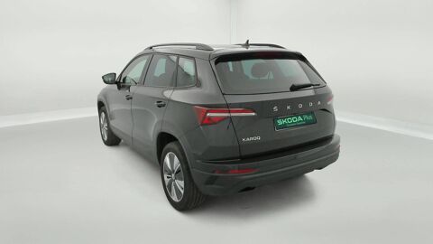 Karoq 2.0 TDI 116 ch SCR DSG7 2022 occasion 25000 Besan&ccedil;on