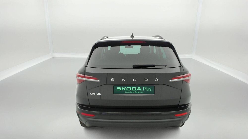 Karoq 2.0 TDI 116 ch SCR DSG7 2024 occasion 25000 Besan&ccedil;on