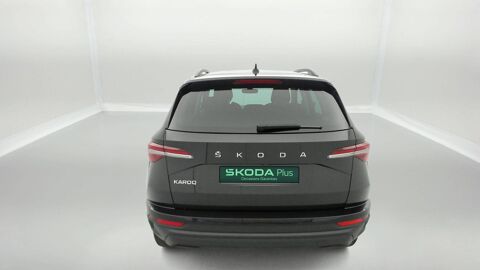 Karoq 2.0 TDI 116 ch SCR DSG7 2024 occasion 25000 Besan&ccedil;on