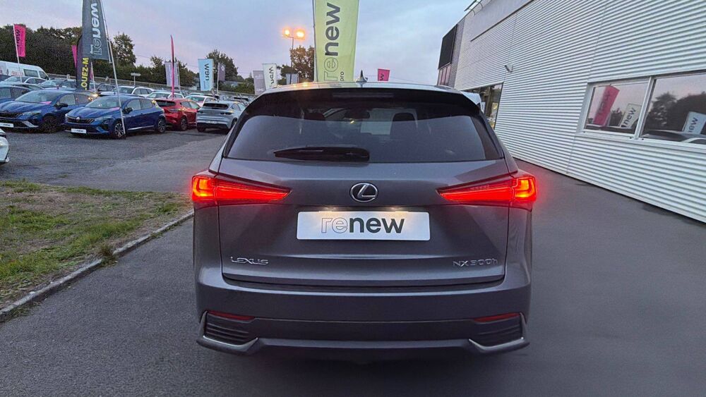 NX 300h 4WD 2019 occasion 22200 Guingamp