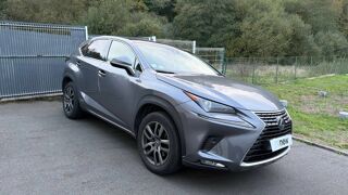 NX 300h 4WD 2019 occasion 22200 Guingamp