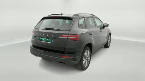 Karoq 2.0 TDI 116 ch SCR DSG7 2024 occasion 25000 Besan&ccedil;on