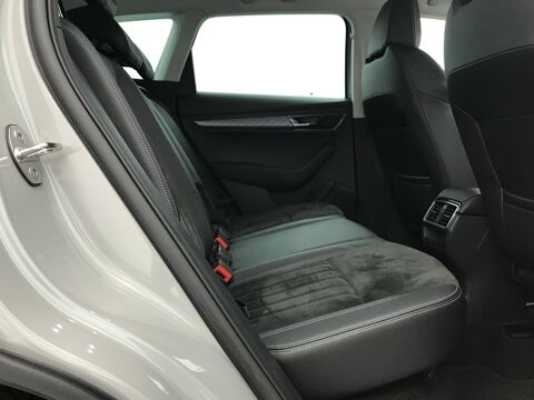 Karoq 2.0 TDI 116 ch SCR DSG7 2023 occasion 25000 Besan&ccedil;on