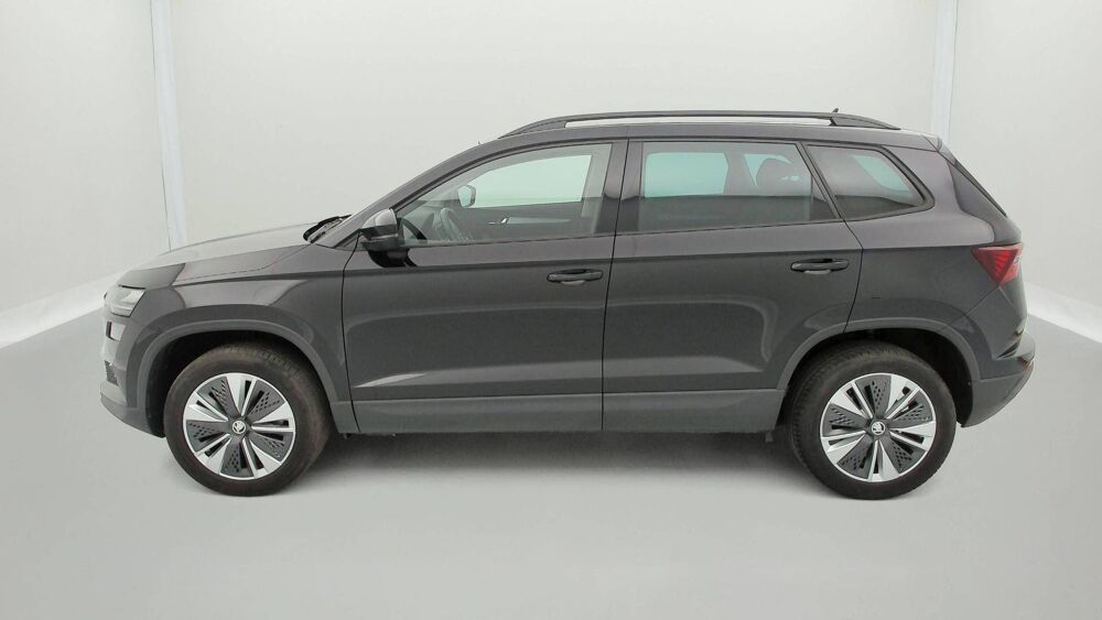 Karoq 2.0 TDI 116 ch SCR DSG7 2022 occasion 25000 Besan&ccedil;on