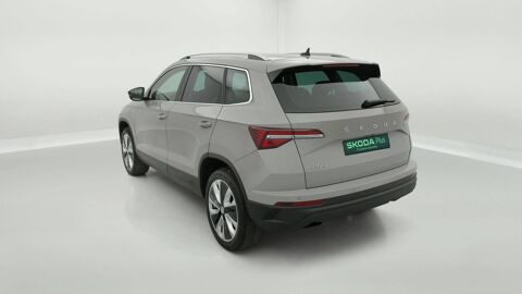 Karoq 2.0 TDI 116 ch SCR DSG7 2023 occasion 25000 Besan&ccedil;on