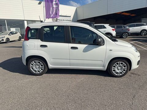 Panda 1.0 70 ch Hybrid BSG S/S 2025 occasion 29270 Carhaix-Plouguer