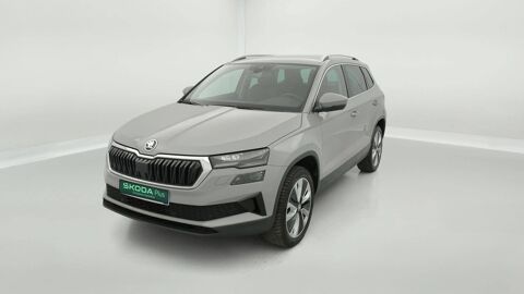 Karoq 2.0 TDI 116 ch SCR DSG7 2023 occasion 25000 Besan&ccedil;on