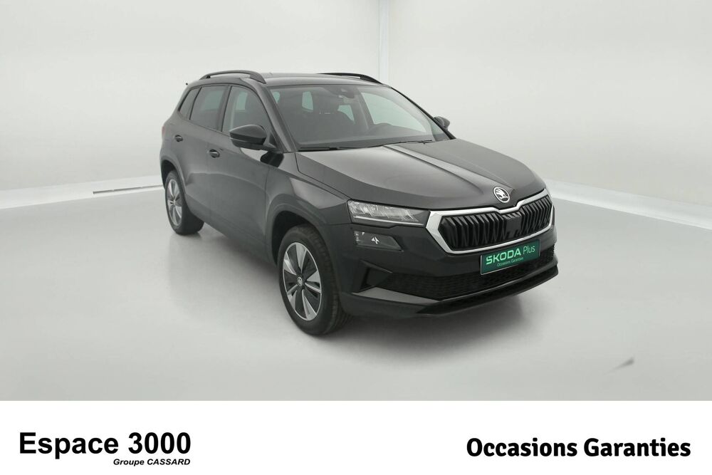 Karoq 2.0 TDI 116 ch SCR DSG7 2023 occasion 25000 Besan&ccedil;on