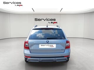 Octavia Combi 2.0 TDI 184 ch SCR FAP DSG7 4x4 2019 occasion 01440 Viriat