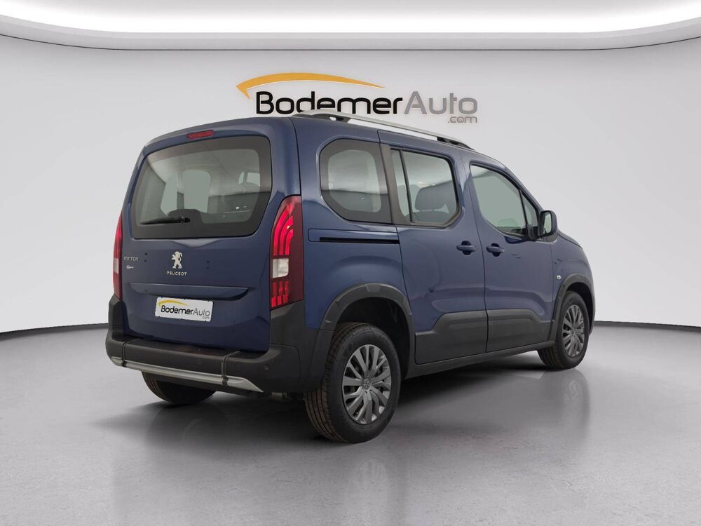  2019 occasion 61000 Alen&ccedil;on